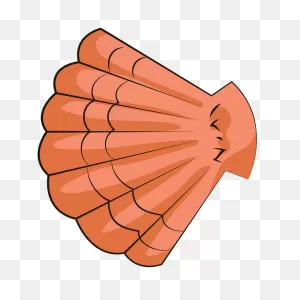 Sea Shell Clipart. Free Download Transparent .png | ClipartFlare