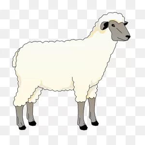 Sheep Clipart. Free Download Transparent .png | ClipartFlare