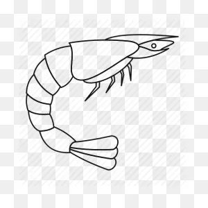 Free Download Black Outline Of Shrimp Clipart Clip - Shrimp ClipartFlare.com 