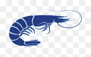 Faster Growing With The Shrimp Growth Line By ClipartFlare