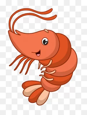 Shrimp Clipart. Free Download Transparent .png | ClipartFlare