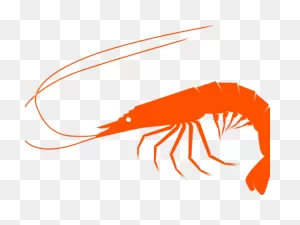 Shrimp Clipart Small Shrimp - Clip Art - Png Download - Full Size ClipartFlare.com 