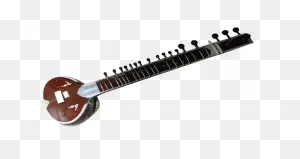 Sitar Lessons At Raaga School San Jose - Raaga School Of Music