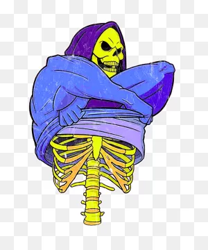 Skeletor Carry-All Pouch For Sale By Nicege Aldin