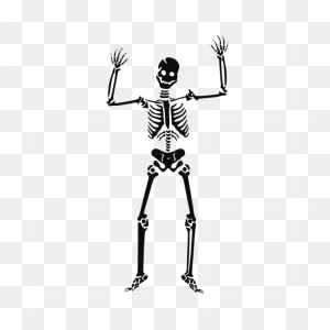 Scary Skeleton Png, PNG-WebP Clip Art For Web - Download Clip Art, Png ClipartFlare.com 