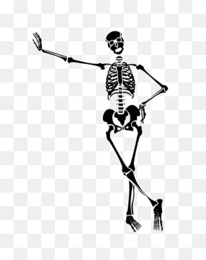Skeleton Clip Art Free Clipart Images Image - ClipartFlare