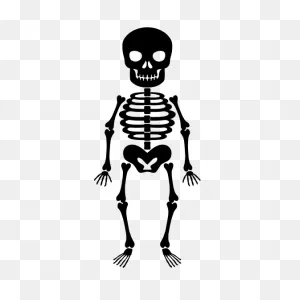 Short Skeleton Sticker