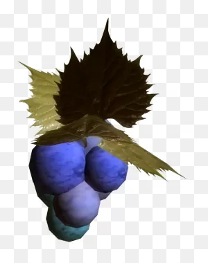 Jazbay Grapes (Skyrim) | Elder Scrolls | ClipartFlare
