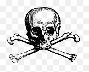 12148 Skull And Bones Clip Art Free | Public Domain Vectors ClipartFlare.com 