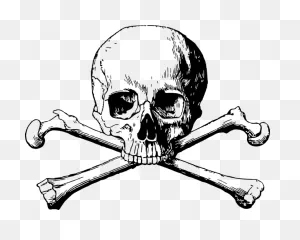 Free Photo Danger Halloween - Skull And Bones Png Clipart - Full ClipartFlare.com 