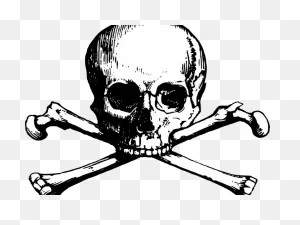 New England Patriots Clipart Skull - Skull And Bones Png ClipartFlare.com 