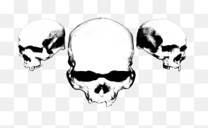 Compact Disc - Black And White Skulls Clipart - Full Size Clipart ClipartFlare.com 