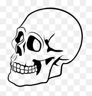 Skulls Png Image - ClipartFlare | Free Transparent Cc0 Png Image Library