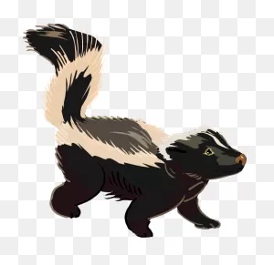 Free Skunk Cliparts, Download Free Skunk Cliparts Png Images, Free ClipartFlare.com 