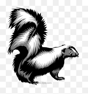 Skunks Royalty Free Vector Clip Art Illustration - Mean Skunk Clip ClipartFlare.com 