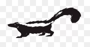 Skunk Clipart Transparent - Skunk Clipart - Png Download - Full ClipartFlare.com 