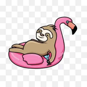 100  Free Sloth & Animal Images