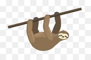 Sloth Clipart Hanging - Png Download - Full Size Clipart (#2690555 ClipartFlare.com 
