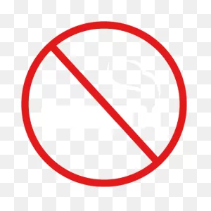 Ring Smoking Ban No Symbol - Ring Png Download - 600*600 - Free ClipartFlare.com 