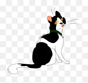 Warrior Cats Wc Smudge Kittypet - Warrior Cats Smudge - (538X506 ClipartFlare.com 