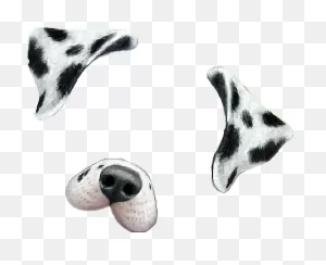 Snapchat Filters Clipart Dalmatian - Snapchat Dog Filter Png ClipartFlare.com 