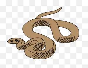 Cartoon Snakes Clip Art Page 2 Snake Images Clipart Free Clip 6 ClipartFlare.com 