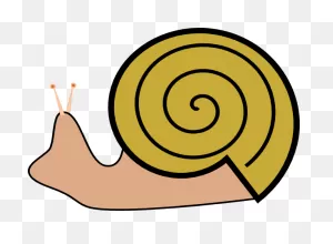 Sea Snail Clip Art Free Clipart Images 2 - ClipartFlare