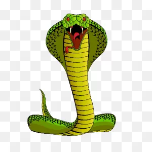 Free Snake Head Cliparts, Download Free Snake Head Cliparts Png ClipartFlare.com 