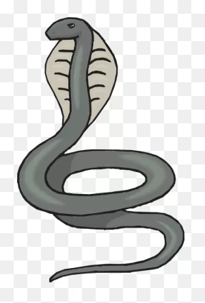 Head,snake,gray,cobra,raised - Free Image From Needpix ClipartFlare.com