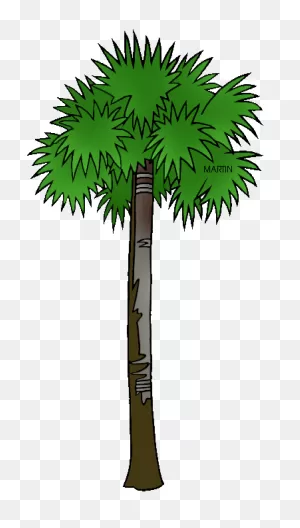 Free South Carolina Cliparts, Download Free South Carolina ClipartFlare.com 