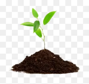 Agriculture Png Transparent Images - Plant In Soil Png Clipart ClipartFlare.com 