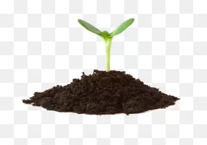 How Our Premium Organic Soil Works | Harvest Gold Organics®