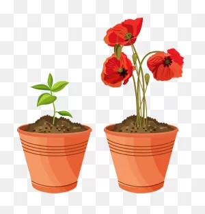 Soil Transparent Png | Png Play