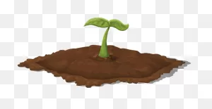 Update On Soil Biology Test Results – Pumpkin Brook Organic Gardening