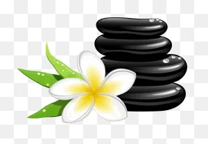 Download Hd Spa Cosmetology Massage Clip Art - Spa Clipart ClipartFlare.com 