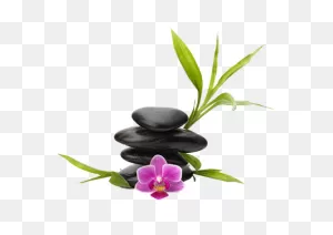 Home | Tri Essence Salon And Spa, Inc. | Green Bay