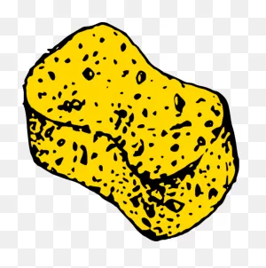 Sponges Drawing Clipart - Sponge Clipart - Png Download - Full ClipartFlare.com 