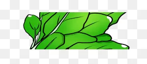 Creamed Spinach