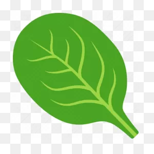 Green, Leaf, Spanich, Spinach, Vegan, Vegetable, Vegetarian Icon ClipartFlare.com 