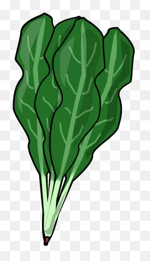 Spinach Leaves Clipart. Free Download Transparent .png | ClipartFlare