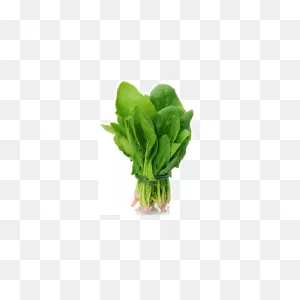 Spinach-Palak