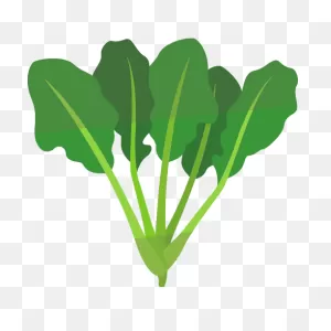 Why You Can Eat All The Spinach You Want When You Have ClipartFlare.com 