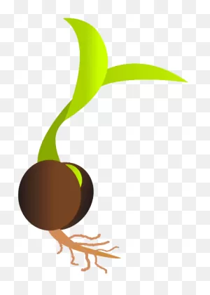 Clipart Transparent Library Plant Sprout Clipart - Seed Png - Full ClipartFlare.com 