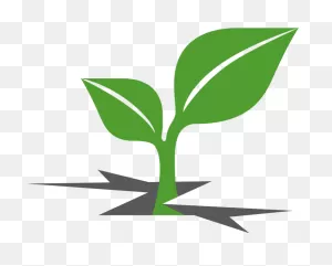 Plant Sprout Clipart - Png Download - Full Size Clipart (#1616343 ClipartFlare.com 