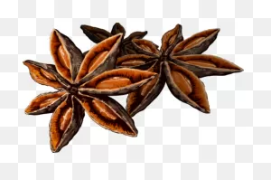 Spices Clipart Png | Full Size Png Download | ClipartFlare