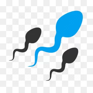 Cum, Jizz, Semen, Spermatozoon, Spunk Sperm, Reproduction, Sexual ClipartFlare.com 