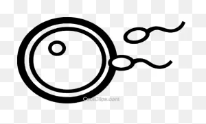 Download Hd Sperm And Egg Royalty Free Vector Clip Art ClipartFlare.com 