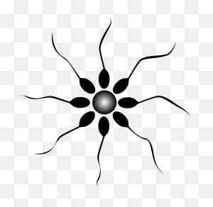 Free Clipart: Sperm | Aungkarns