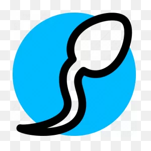 Fertilization, Reproduction, Semen, Sperm Icon - Download On ClipartFlare.com 