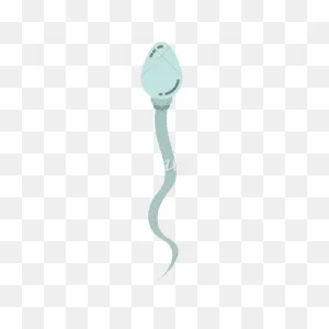 Sperm Icon #418827 - Free Icons Library